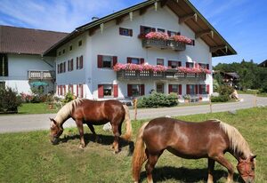 Heutauer Hof – Ferienwohnung 3, 65 qm, 2 Schlafzimmer, Balkon