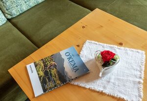 Berggasthaus Steinberg-Alm inkl. Chiemgaukarte – Ferienwohnung Sophia 34qm, Balk., Kochni., 1 Schlafzimmer, Wohnzimmer, max 2 P.