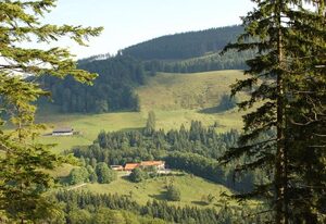 Berggasthaus Steinberg-Alm inkl. Chiemgaukarte – Ferienwohnung Sophia 34qm, Balk., Kochni., 1 Schlafzimmer, Wohnzimmer, max 2 P.