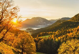 Steinberger Hof Alm inkl. Chiemgau Karte – Alm 100 qm, Terrasse, Küche, 2 Schlafzimmer, Wohnzimmer, max 8 Personen