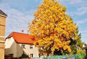 Ferienwohnung Hanschke