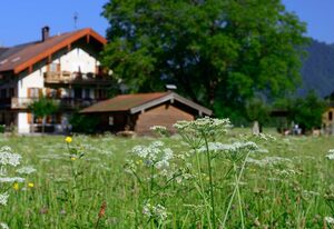 Ferienwohnungen Ramslerhof inkl. Chiemgaukarte – Ferienhaus 35 qm, Almhäusl, Terrasse, Kochnische, Schlafzimmer, Wohnschlafzimmer