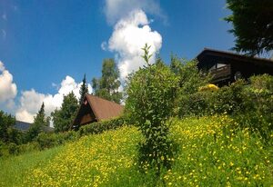Ferienwohnung Vogel - inkl. Chiemgau-Karte – Ferienwohnung Haus Rittersporn, 78 qm, 2 Schlafzimmer, überdachter Balkon, WLAN