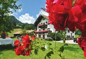Maiergschwendter-Hof inkl. Chiemgaukarte – Doppelzimmer Westernberg mit Dusche und WC, TV, WLAN