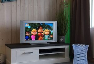 StrandMUSCHEL Fehmarn direkt am Südstrand