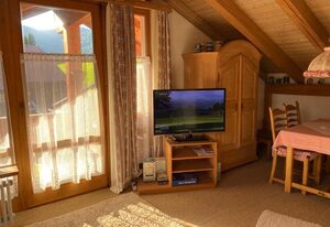 Ferienwohnungen Wagner inkl. Chiemgaukarte – Ferienwohnung 50 qm, Balkon, Kochnische, 1 Schlafzimmer, 1 Wohnschlafzimmer
