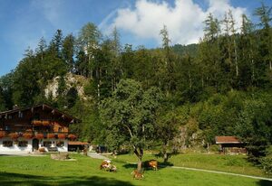 Sulzenhof inkl. Chiemgaukarte – Ferienwohnung I 40 qm, Balkon, Küche, 1 Schlafzimmer, Wohnzimmer, max 4 Personen