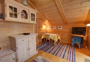 Ferienwohnung Birkenmeier inkl. Chiemgaukarte – Ferienwohnung 47qm, Balkon, Kochnische, 1 Schlaf- u. 1 Wohn-Schlafraum, WLAN
