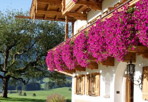 Wimmerhof - Chiemgau Karte – Ferienwohnung Rauschbergblick für 4 Personen, 2 Schlafzimmer, 90 qm