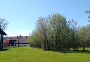 Ferienpark Vorauf Ferienwohnung Iris 4