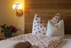 Pension Haus Marianne - Chiemgau Karte – Doppelzimmer Bergblick mit Dusche und WC ohne Balkon