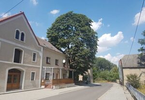 *Pension HofGut Streubel – Doppelzimmer  Zum Hirsch online