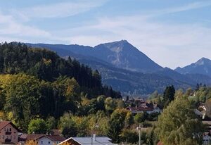 Hotel Garni Edelweiß – Einzelzimmer B mit Dusche und WC sowie TV und WLAN