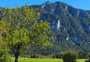 Alpen-Oase – Ferienwohnung 47qm für max. 4 Personen mit Terrasse