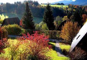 Krähennest