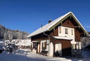 Ferienhaus Hallweger inkl. Chiemgaukarte – Ferienhaus 100qm, Balkon, Terrasse, Küche, 2 Schlafzimmer, Wohnschlafzimmer, 5P.