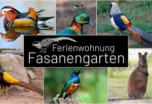 Fasanengarten in Traunreut – Ferienwohnung 55qm mit Balkon und Gartenblick