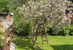 Ferienwohnungen Kirchmayer - Chiemgau Karte – Ferienwohnung Frillensee für 2 Personen mit Terrasse, 38 qm, Wohnküche
