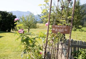 Matheishof - Chiemgau Karte – Ferienwohnung Guat'kammer