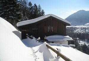 Bojernhof inkl. Chiemgaukarte – Alm2 Appartement 30qm, Balkon, Kochni., 1 Wohnschlafzimmer, WLAN, max 2 Pers.