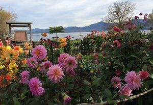Genusszeit am Chiemsee – Ferienwohnung 70qm, 1 SZ, EG mit Terrasse