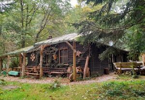 Ferienhaus Das wilde Auwaldhaus – Ferienwohnung