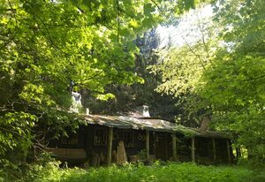 Ferienhaus Das wilde Auwaldhaus – Ferienwohnung
