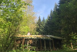 Ferienhaus Das wilde Auwaldhaus – Ferienwohnung