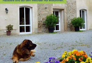 Weichaer Hof FBS Sonja Fritsch & Hagen Schmidt GbR – Ferienwohnung 6 - 80qm (2-6 Personen)