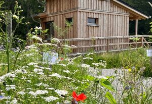Wald ist Zukunft [Baumhaus Specht]