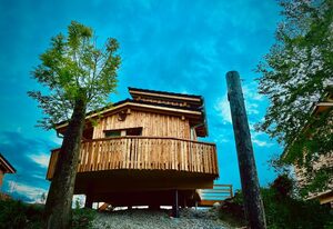 Wald ist Zukunft [Baumhaus Specht]