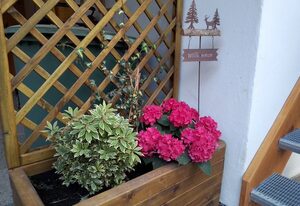 Ferienwohnung Bergzeit