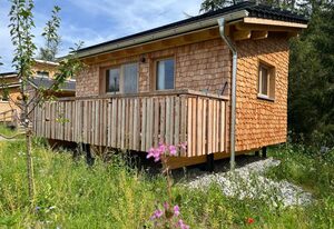 Wald ist Zukunft [Baumhaus Biene]