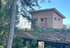Wald ist Zukunft [Baumhaus Biene]