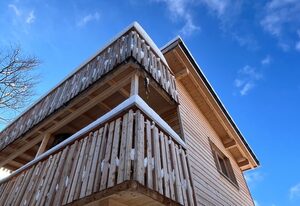Wald ist Zukunft [Baumhaus Eule]