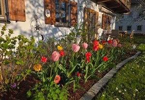 Ferienwohnung Fischbacher – Ferienwohnung 30 qm, 2 Personen