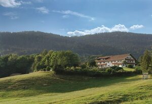 Wild-Berghof Buchet – Doppelzimmer mit Dusche und WC