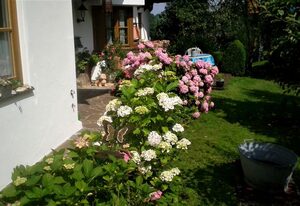 Forsthaus Röthelmoos inkl. Chiemgaukarte – Ferienwohnung 55qm, Terrasse, Kochnische, 1 Schlafzimmer, Wohnzimmer, max 2 P.