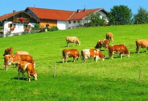 Plattenberger Hof – Ferienwohnung  Panoramablick, Obergeschoss, 2 Personen, 35 qm