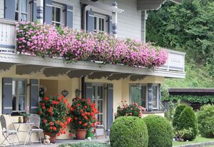 Am Hadermarkt inkl. Chiemgaukarte – Ferienwohnung 4, 68qm, Balkon, Küche extra, 1 Schlafzimmer, 1 Wohnz., max 2 Pers.