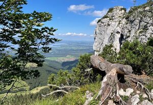 FeWoLo - Chiemgau Karte – Fünf Gehminuten vom See, 3 Zimmer Wohnung mit Garten