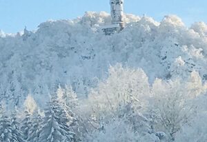 Ferienhaus Am Nussbaum