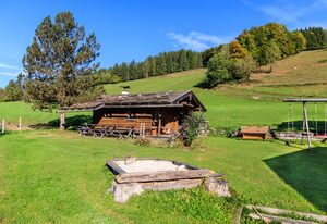 Oberaschenauer-Hof inkl. Chiemgaukarte – Ferienwohnung 60qm, Balkon, Kochnische, 2 Schlafz., Wohnzimmer, max 4 P.