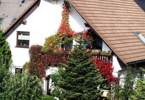 Ferienwohnung für Familien mit Kindern geeignet