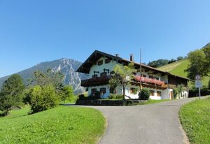 Ferienwohnung Beim Raffner – Appartement Single 17qm, Kochnische, 1 Wohnschlafzimmer, max 1 Person