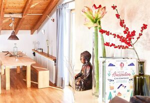 Stilvolles, gepflegtes 5*Ferienloft am Chiemsee, Balkon