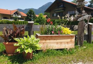 Casa Shania – Ferienwohnung FEELINGS, 45 m², 1-2 Personen, 1 sep. Schlafzimmer, Balkon, WLAN