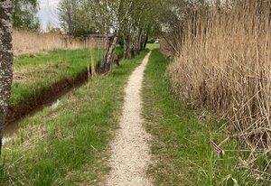 Feriennest Chiemseeglück