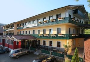 Gasthof-Hotel Dilger – Einzelzimmer inclusiv Frühstück - mit Balkon