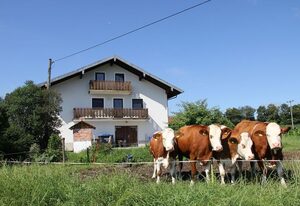 Haslacher Hof – Ferienwohnung für 4 Personen, Balkon, 65 qm